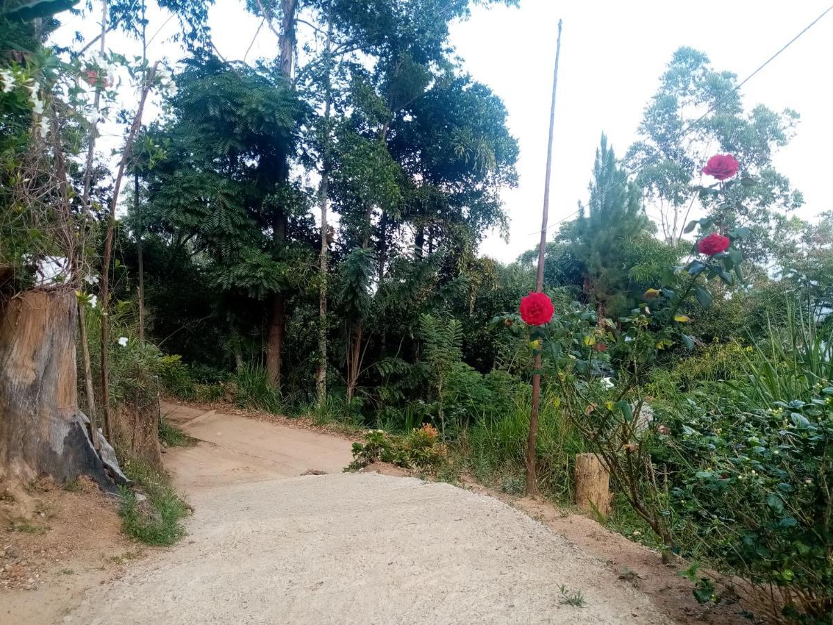Apurvi Homestay Ella Zewnętrze zdjęcie